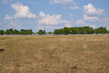Obraz premium landscape of hills, trees, fields, sky, sun, cloud