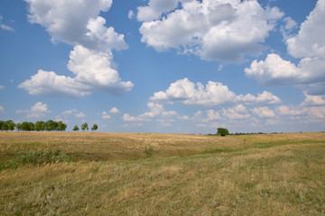 Fototapeta premium landscape of hills, trees, fields, sky, sun, cloud