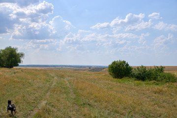 landscape of hills, trees, fields, sky, sun, cloud