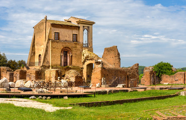 View to ancient Flavian Palace - Domus Flavia- on Palatine hill, Rome, Italy.