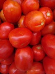 tomatoes on the market
