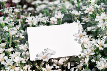 White blank business card on flowers background. Beautiful and fresh landscape,