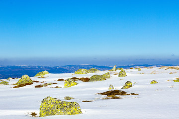 Cevennes enneig&eacute;es