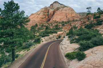 Winding road in Zion National Park in Utah