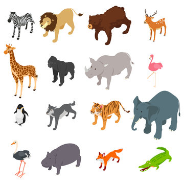 Wild Animals Isometric Illustration