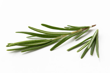 rosemary leaves on a white isolated background