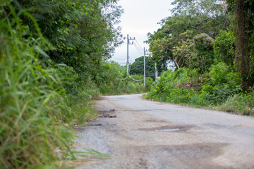 road in countryside and wilderness. Obstacle to travel concept. image for background and copy space.