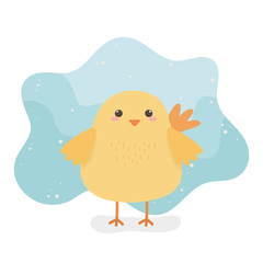 cute chick animal farm character