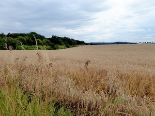 Felder rund um Aachen