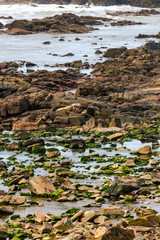 Casablanka shore