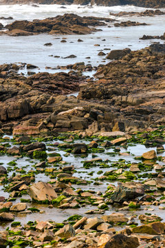 Casablanka shore