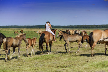 A girl rides a horse across a farm field.