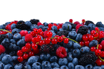 Blackberry, raspberry, blueberry,  red currant and mint background. Isolated on white. Copy space.