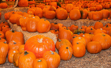 Pumpkins