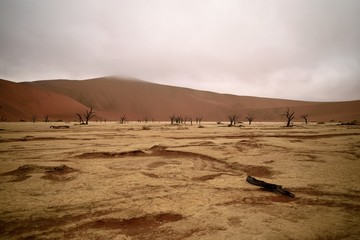 Cloudy Namib desert