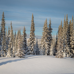 A beautiful day out skiing in Manning Provincial Park, B.C.