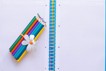COLOR PENCILS, BACK TO NOTEBOOK, SCHOOL TIME, BEGINNING OF THE YEAR, READY TO SCHOOL