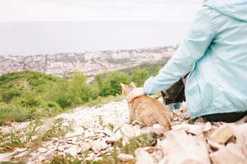 Cat pet walking with woman over the town outdoor.