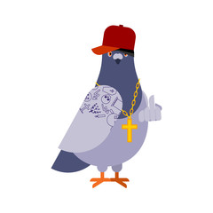 Pigeon gangster. Cool City bird. SWAG gangsta. Pigeon guy rapper