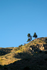 Fototapeta na wymiar Sagebrush Hills