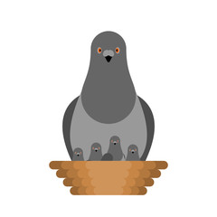 Dove and chicks in nest. Pigeon City bird. vector illustration