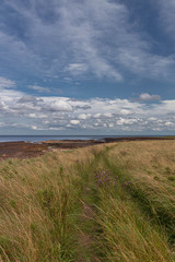 Coastal footpath between Dunbar and Barns nest
