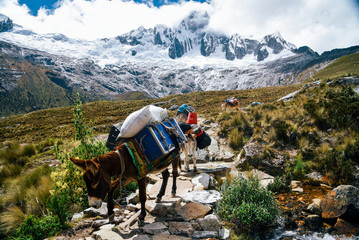 Santa Cruz Trek in Huscaran National Park in the Cordillera Blanca in Northern Peru 
