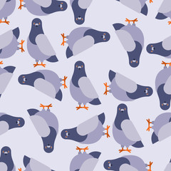 Dove grey pattern seamless. pigeon background. City bird vector texture