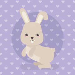 cute rabbit animal farm character