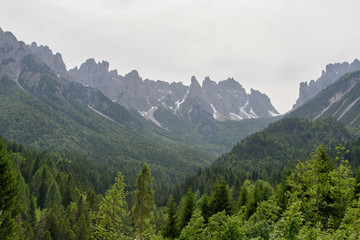 Fototapeta na wymiar beautiful landscape from Forni di Sopra in Italy, green trees in the foreground and wild Dolomites peaks covered with snow in the background; travel photography