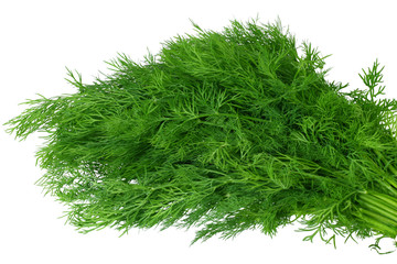 bunch of dill isolated on white background