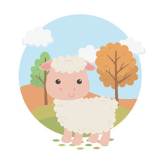 cute sheep animal farm character