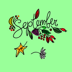 September month floral background. Hand lettering decorated with hand drawn leaves, flowers, berries, seeds