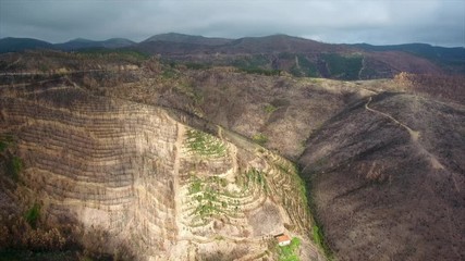 Aerial. Portuguese forest Monchique, after the fires view from the sky.