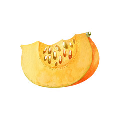 Slice of ripe orange pumpkin isolated on white background. Watercolor handdrawn illustration. Hand made clipart.