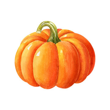 Ripe orange pumpkin isolated on white background. Watercolor handdrawn illustration. Hand made clipart.