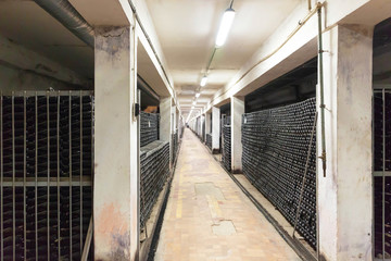 The stage of secondary fermentation in the manufacture of champagne. Classical manufacturing technology.