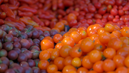 Plum tomatoes, vine-ripened tomatoes, cherry tomatoes on a market counter. Vegetables from the farmers market. Eco products. Vitamins vegetarian diet. Healthy food. Natural vegetable background.