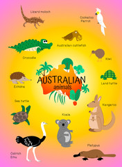 Australia animals, poster for children, educational card. Platypus, Crocodile, Moloch, kiwi, kangaroo, echidna, ostrich emu, cuttlefish, cockatoo, koala, turtle