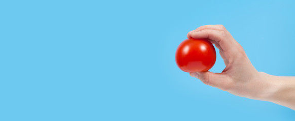 Hand holding organic delicious tomato Isolated on blue Background. Healthy eating and dieting concept. Copy space. Free space for your text
