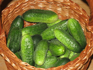 cucumbers in a basket