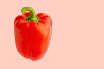 red bell pepper or paprika isolated on a pink background, for design