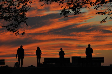 Orange Sunset Watchers in Silhouette