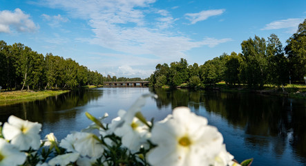 the green beauty in Karlstad Sweden with colourful flowers in the foreground