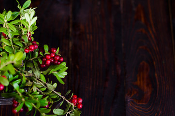 twigs red ripe lingonberries, Cowberry, foxberry  in a glass on a dark wooden background. wild berry, swamp, forest, summer, August. organic autumn harvest. copy space, mock up, next