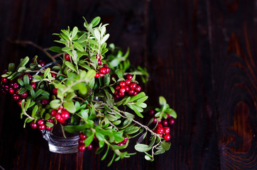 twigs red ripe lingonberries in a glass on a dark wooden background. wild berry, swamp, forest, summer, August. organic harvest. autumn winter concept. Cowberry, foxberry. copy space, mock up, next