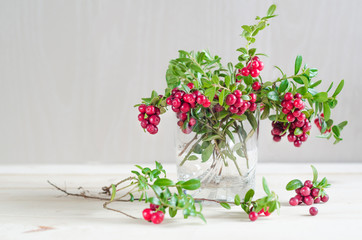 bouquet of twigs with red ripe lingonberries in a glass on a light background. wild berry, Cowberry, foxberry, swamp, summer, August. organic autumn harvest. forest. copy space, mock up, next