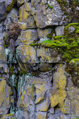 Columbia River Gorge, between Oregon and Washington states. Pictures are Columbia River Basalt rock.