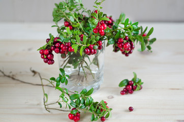 bouquet of twigs with red ripe lingonberries in a glass.  copy space, mock up, text.  wild berry, swamp, summer, August. organic autumn harvest North America, Scandinavia, Sweden, Baltic, Russia.