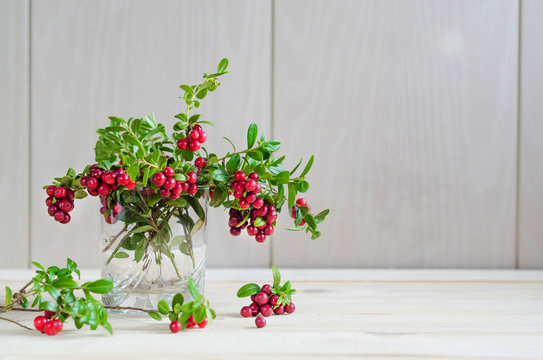 bouquet of twigs with red ripe lingonberries in glass on light wooden background. Cowberry, foxberry. traditional vegetation of North America, Scandinavia, Sweden, Baltic, Russia. cooy space, mock up